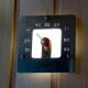 Оптоволоконный светильник для сауны Cariitti Гигрометр SQ 1545849